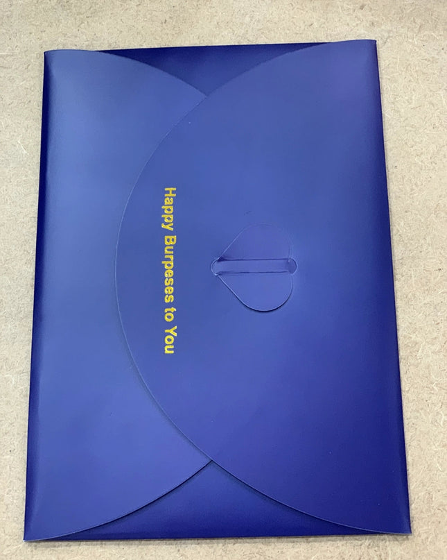 USA  lot Aigrous A9 pro  massager