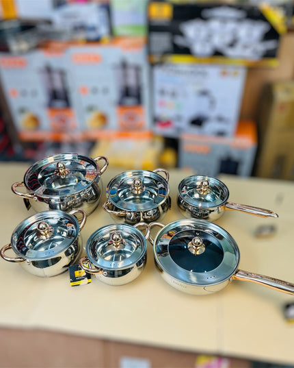 kaisa villa 12PCS stainless steel cookware set ( switzerland )